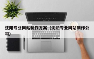 肇州沈阳专业网站制作方案（沈阳专业网站制作公司）